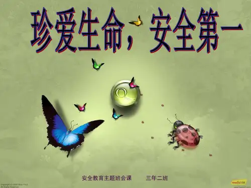 小学三年级《安全教育》主题班会ppt课件