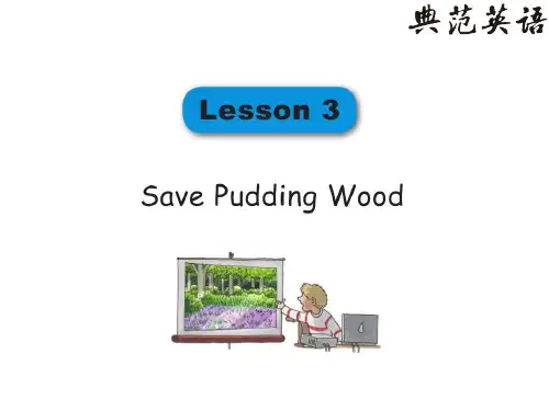 典范英语拼读课程3-Lesson3