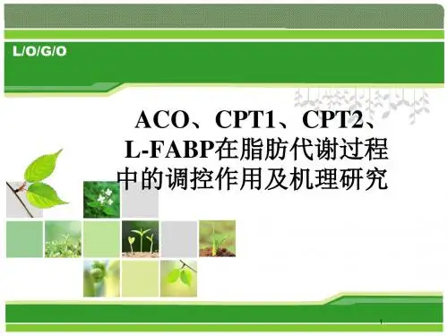 (医学PPT课件)ACO、CPTI、CPTII、L-FABP 等脂代谢中关键酶的研究进展
