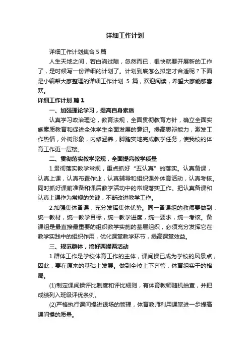 详细工作计划