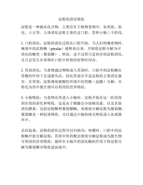 淀粉的消化吸收