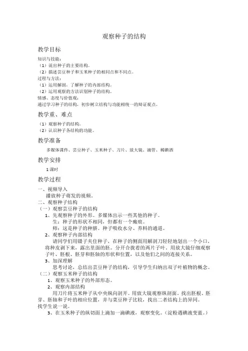 观察种子的结构教学设计