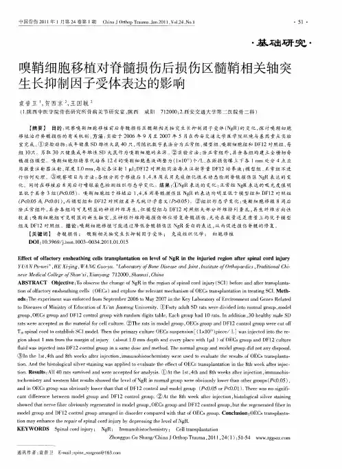 嗅鞘细胞移植对脊髓损伤后损伤区髓鞘相关轴突生长抑制因子受体表达的影响