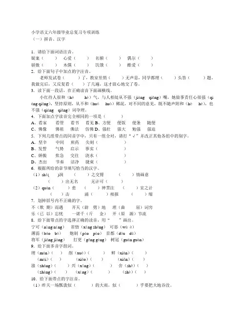 广州市小学语文六年级毕业总复习专项训练