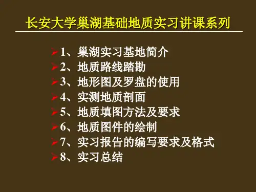 巢湖实习,报告-剖面图、柱状图、地质图的绘制方法