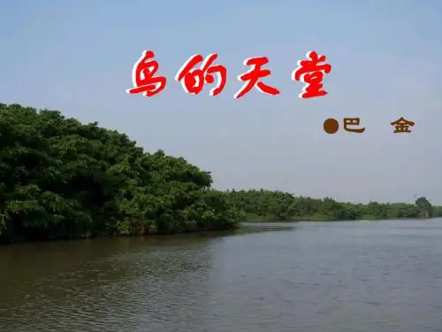 3、鸟的天堂