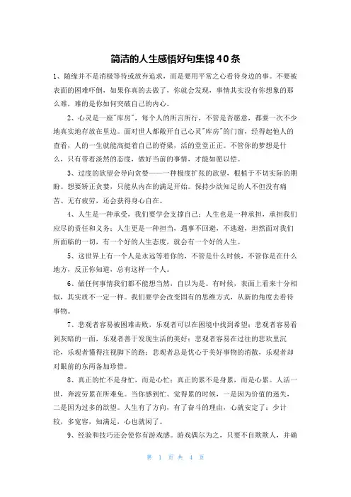 简洁的人生感悟好句集锦40条