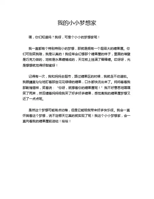 我的小小梦想家