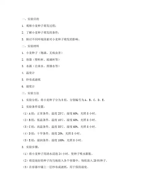 小麦的实验报告