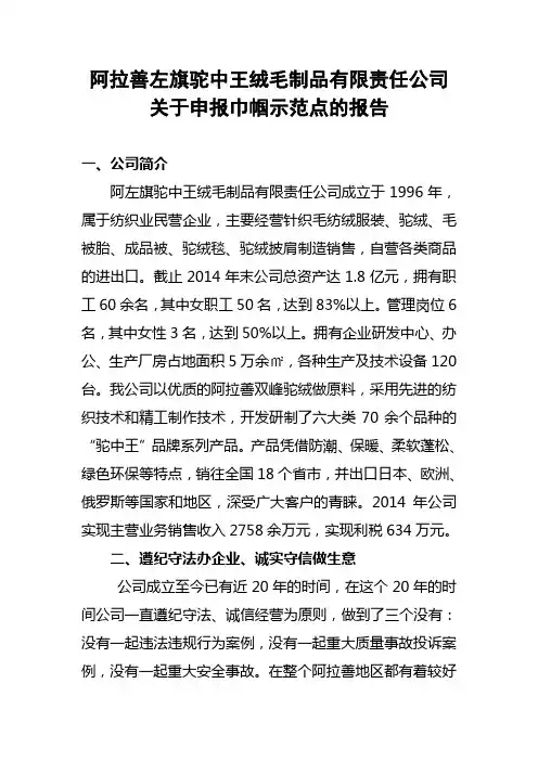 申报巾帼示范点材料