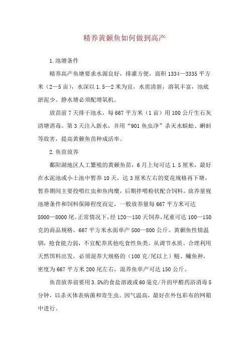 精养黄颡鱼如何做到高产