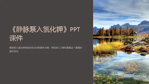 《静脉泵入氯化钾》课件