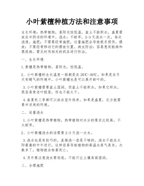 小叶紫檀种植方法和注意事项