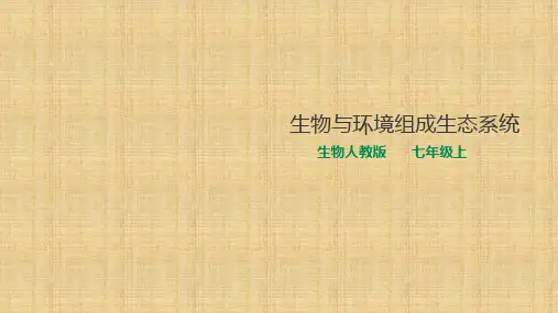 人教版初中生物七年级上册1.2.2生物和环境组成生态系统课件(共26张PPT)