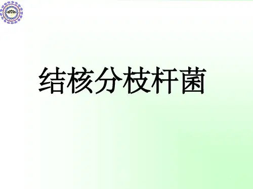 结核分枝杆菌24494ppt课件