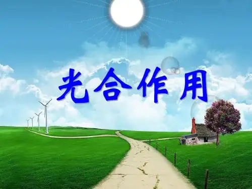 光合作用的原理和应用PPT