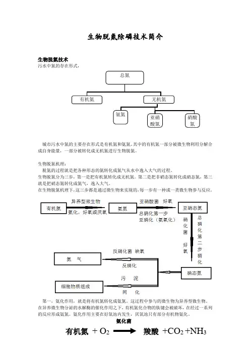 生物脱氮除磷技术