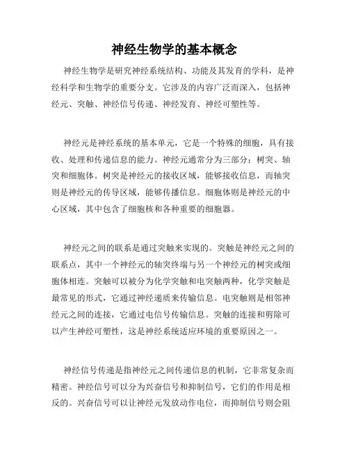 神经生物学的基本概念