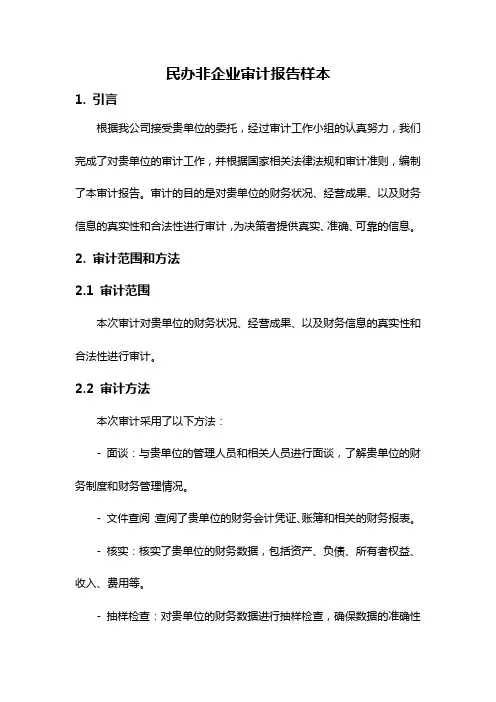 民办非企业审计报告样本