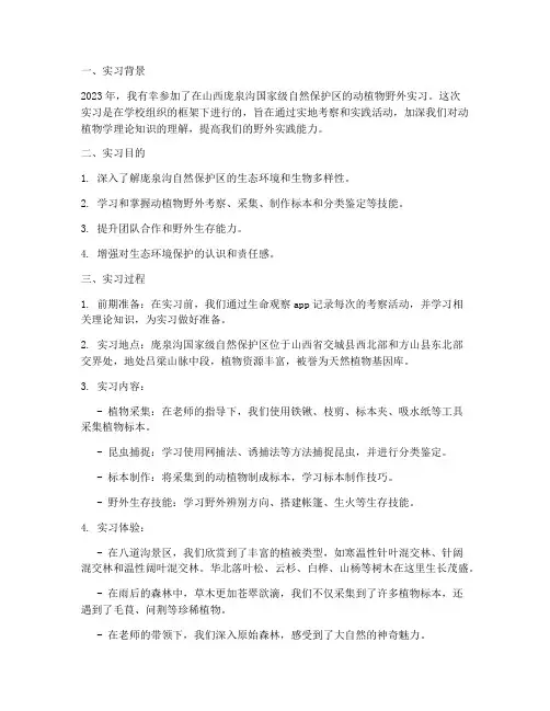庞泉沟实习报告总结