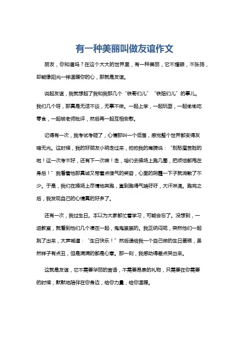 有一种美丽叫做友谊作文