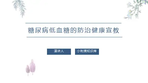 糖尿病低血糖的防治健康宣教PPT课件