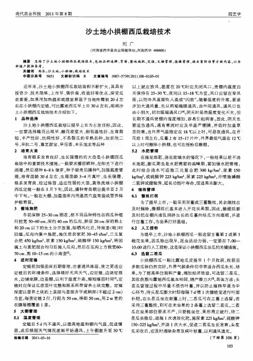 沙土地小拱棚西瓜栽培技术
