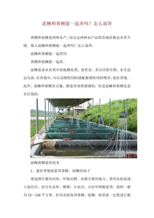 泥鳅和黄鳝能一起养吗？怎么混养