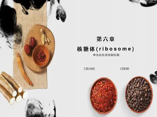 医学细胞生物学-第六章核糖体