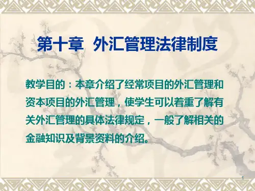 外汇管理法律制度PPT课件