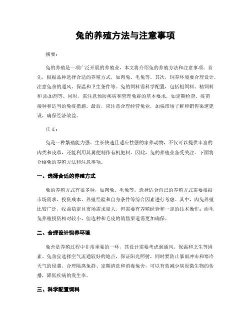 兔的养殖方法与注意事项