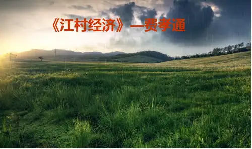 《江村经济》