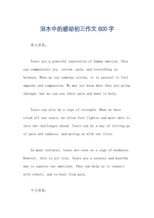 泪水中的感动初三作文600字