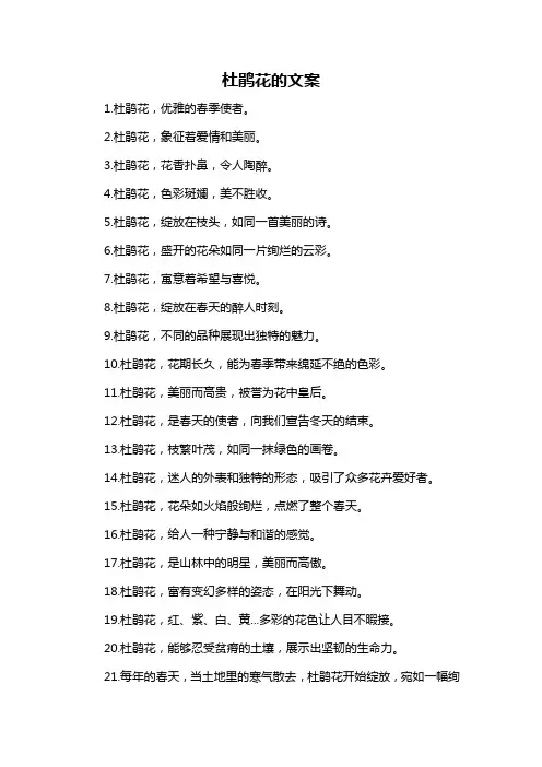 杜鹃花的文案-概述说明以及解释