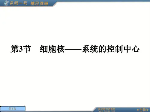 生物必修一第三章第三节ppt课件