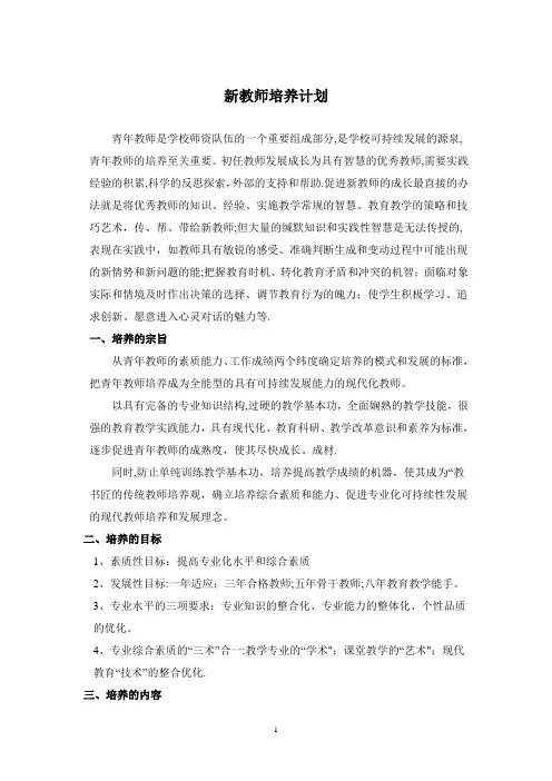 大学年轻教师培养计划