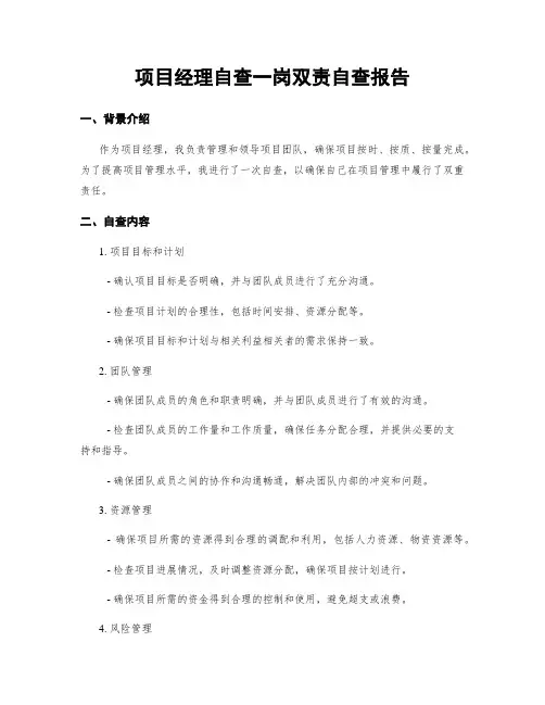 项目经理自查一岗双责自查报告