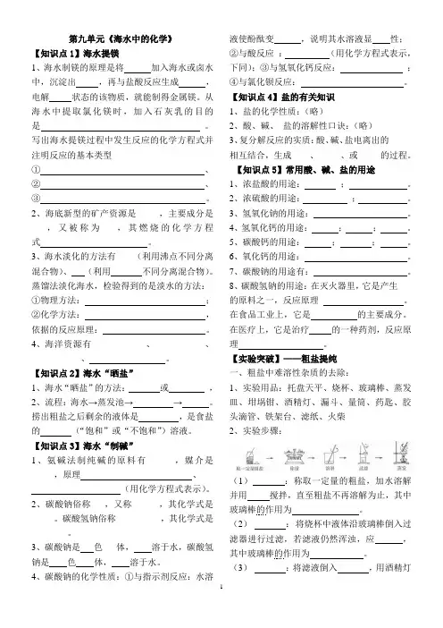 初中化学《海水中的化学》测试题