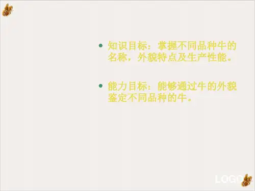 牛羊生产牛的品种PPT课件(模板)