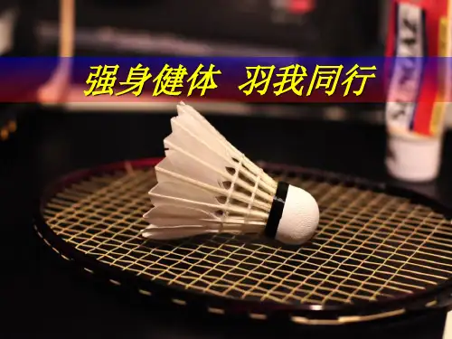 羽毛球基础知识