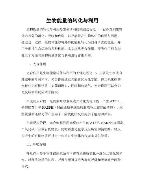 生物能量的转化与利用