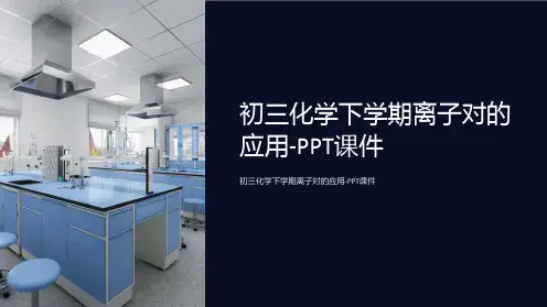 初三化学下学期离子对的应用-课件