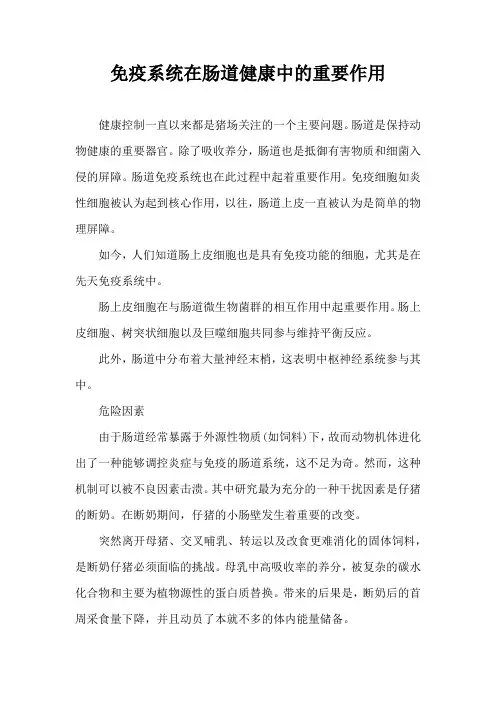 免疫系统在肠道健康中重要作用