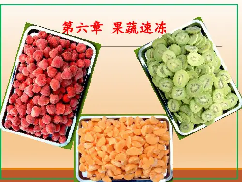 第六章果蔬速冻