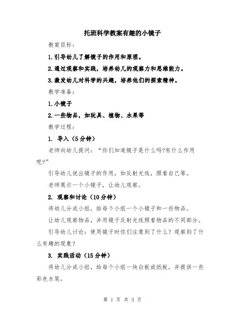 托班科学教案有趣的小镜子
