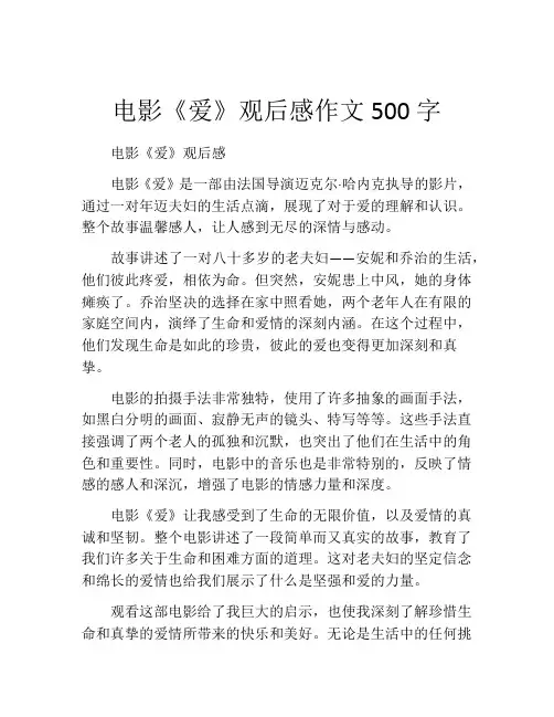 电影《爱》观后感作文500字