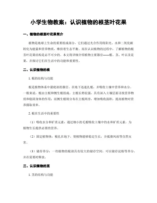 小学生物教案：认识植物的根茎叶花果