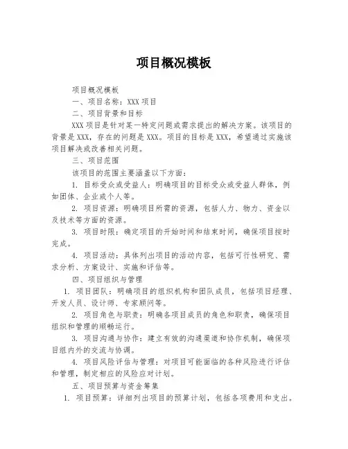 项目概况模板