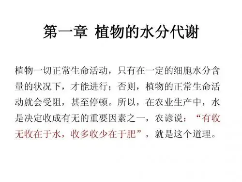 植物生理课件