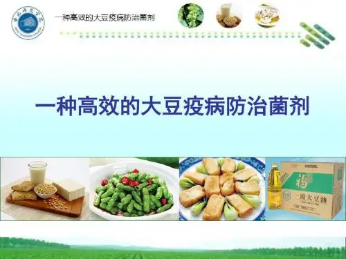 “挑战杯”国赛答辩PPT(学术科技类) 共33页PPT资料